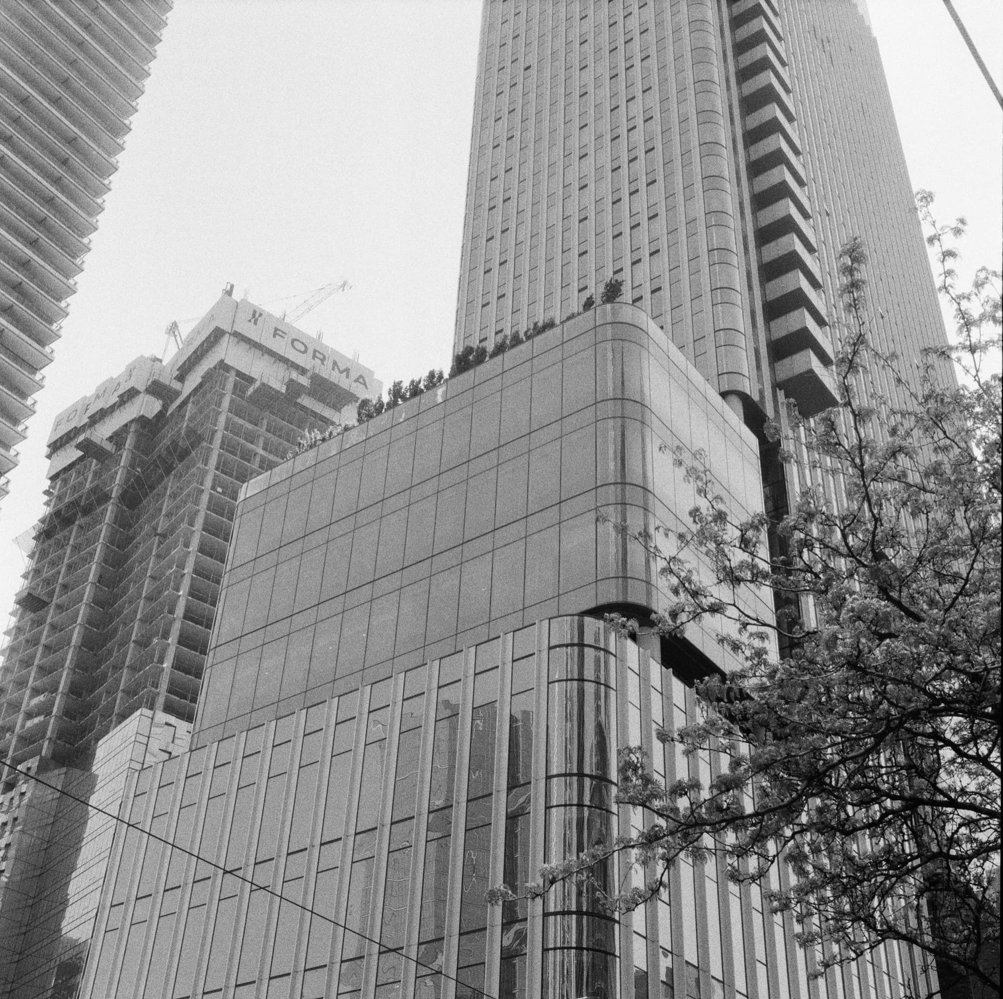 Nester Finn Downtown Toronto, shot on Rolleiflex